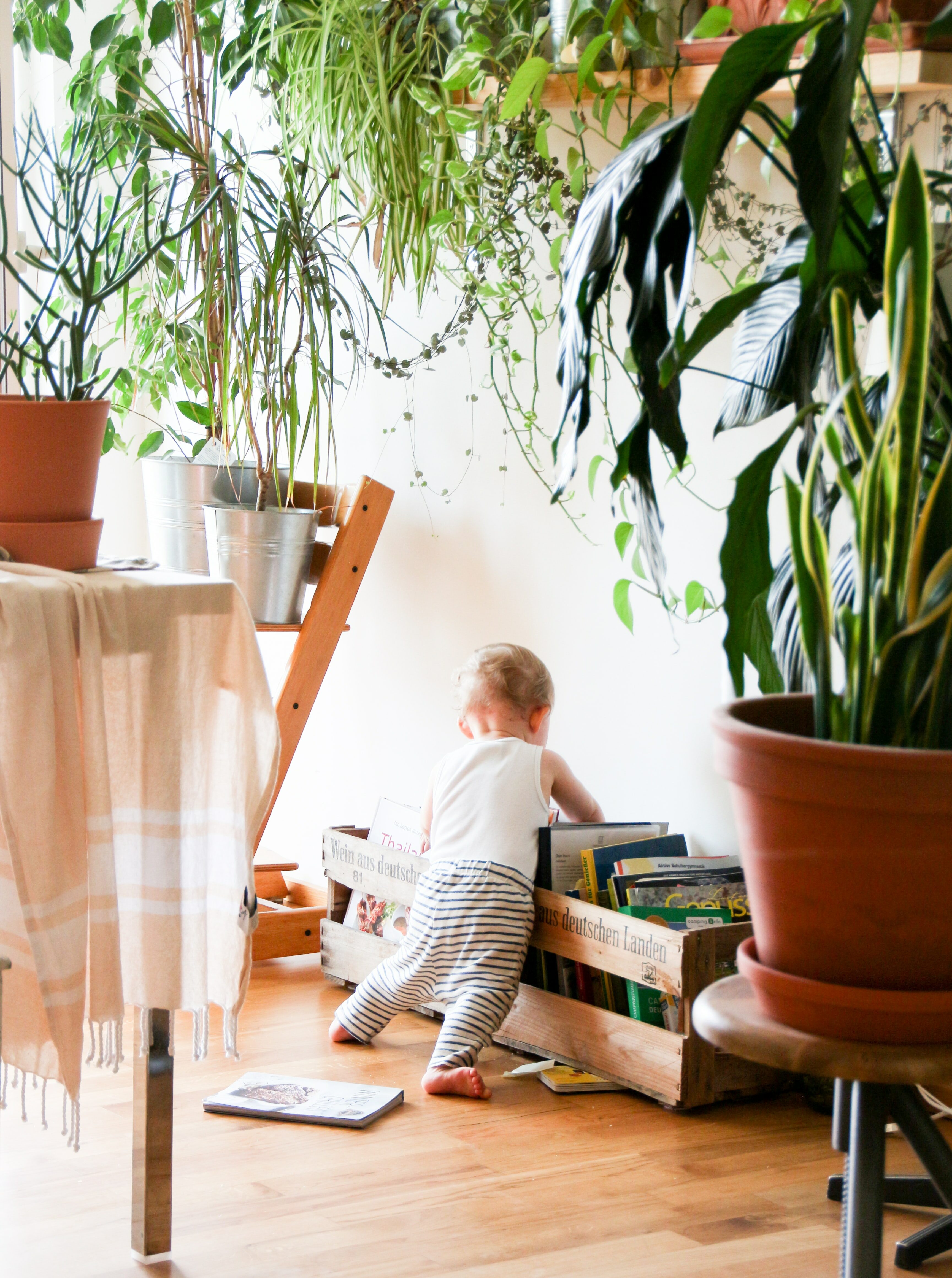 Histoires pour bébé